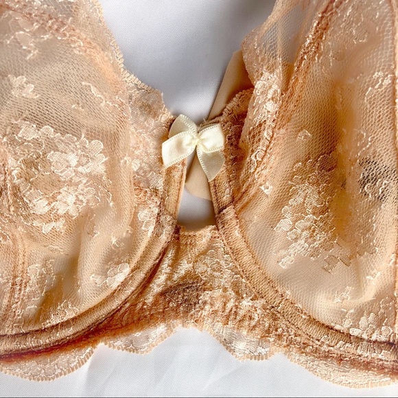 Paramour by Felina Lace Unlined Full-coverage Bra - Picture 5 of 13